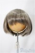 画像1: 9inch/ウィッグ/インチ　BJD　MJD　ドール用 A-24-12-11-128-KD-ZA (1)