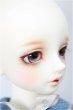 画像3: SDM女の子/コーディネートモデル：F-54/BJD　球体関節人形 A-25-01-01-258-NY-ZA (3)