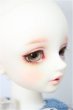 画像3: SDM女の子/コーディネートモデル：F-54/BJD　球体関節人形 A-25-01-01-259-NY-ZA (3)