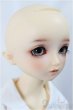 画像2: SDM/スタンダードモデルちよ/BJD　球体関節人形 A-25-01-01-267-NY-ZA (2)