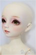 画像3: SDM女の子/コーディネートモデルF-61/BJD　球体関節人形 A-25-01-29-137-KD-ZA (3)