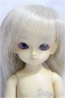 画像1: 幼天使/ゆき/BJD　球体関節人形 A-25-01-29-257-KD-ZA (1)