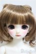 画像1: SDM女の子/コーディネートモデルF-48/BJD　球体関節人形 A-25-02-12-185-NY-ZA (1)