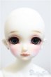 画像2: SDM女の子/コーディネートモデルF-48/BJD　球体関節人形 A-25-02-12-185-NY-ZA (2)