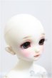 画像3: SDM女の子/コーディネートモデルF-48/BJD　球体関節人形 A-25-02-12-185-NY-ZA (3)