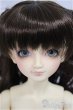 画像1: SDC女の子/グレーテル/BJD　球体関節人形 A-25-02-19-400-NY-ZA (1)