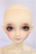 画像2: SDC女の子/グレーテル/BJD　球体関節人形 A-25-02-19-400-NY-ZA (2)