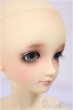 画像3: SDC女の子/グレーテル/BJD　球体関節人形 A-25-02-19-400-NY-ZA (3)