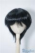 画像1: 9-10inch/ウィッグ：BJD　CROBI製 U-24-09-10-003-KD-ZU (1)