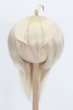 画像1: ウィッグ/8.5inch:Medium Cowlick:MSireDoll製 S-25-02-02-421-GN-ZS (1)