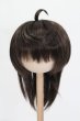 画像1: ウィッグ/8.5inch:Medium Cowlick:MSireDoll製 S-25-02-02-436-GN-ZS (1)