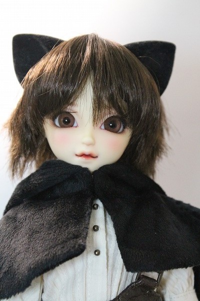 SDCute/黒猫ルネ (Rene the Black Cat ) U-24-03-13-213-NY-ZU - DOLL UP!