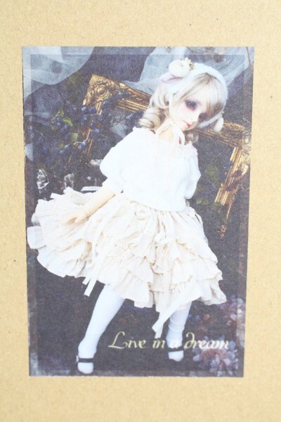 SDGIRL/OF Live in a Dream様製ドレスセット I-23-06-25-1106-ZI